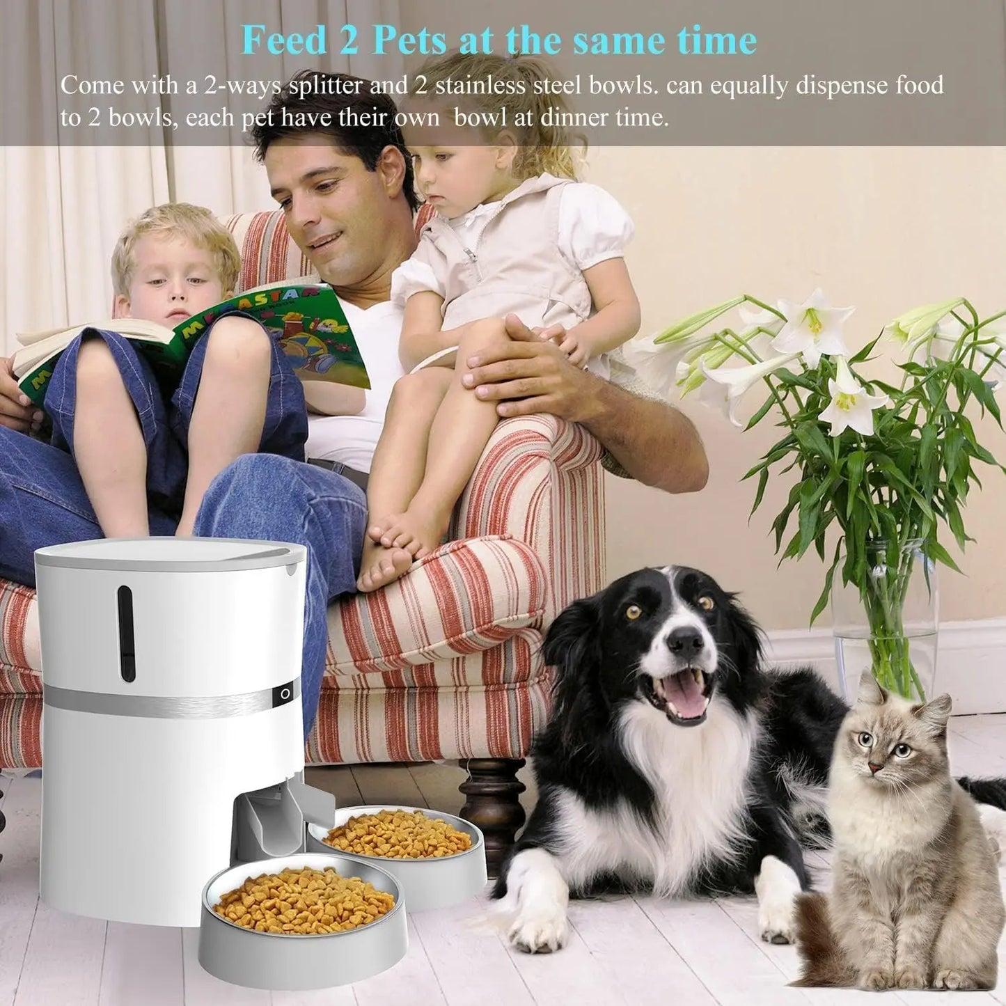 Automatic Pet Feeder with Dual Bowls and Two-Way Splitter for Cats & Small Dogs, Programmable for Up to 6 Meals
